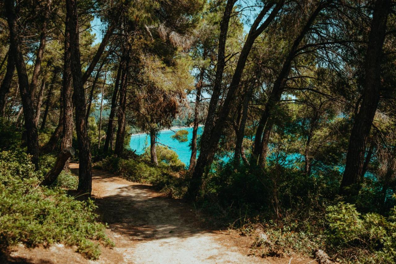 Forest House Near The Sea Sani  Bagian luar foto